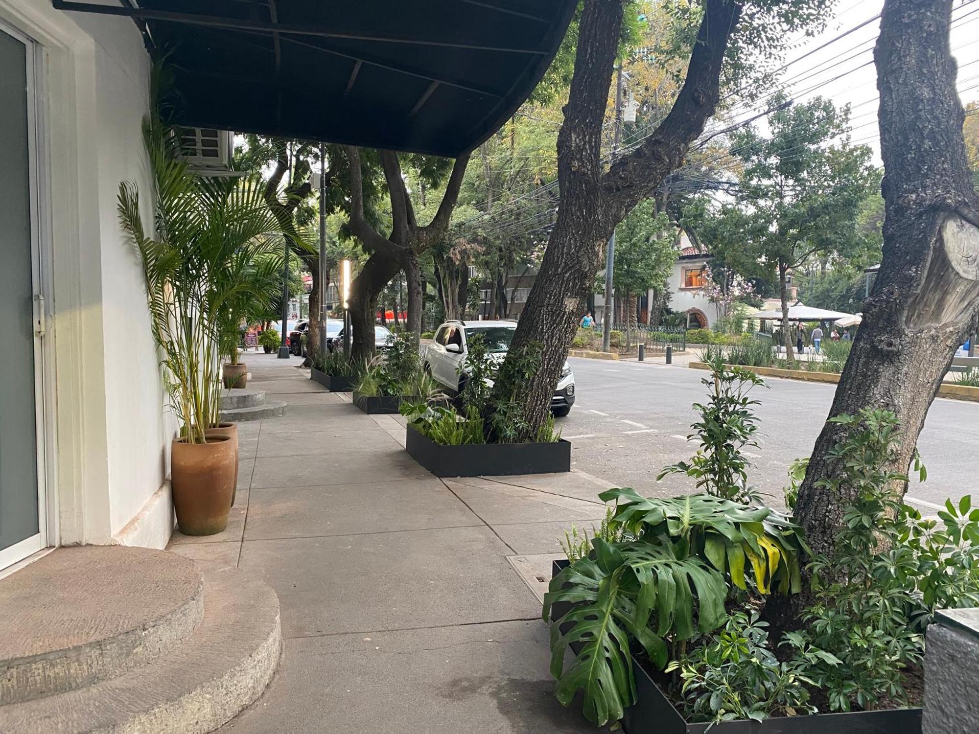 Casa Corp Boutique Suites In Condesa Mexikóváros Kültér fotó